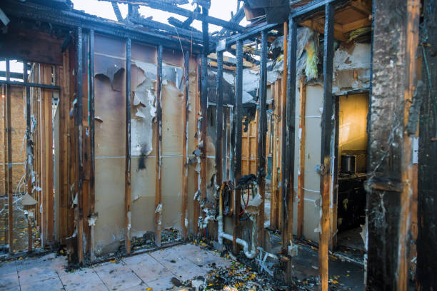 Professional Smoke Damage Removal technician working in Green Lane, PA